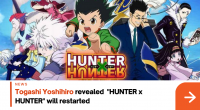 Hunter X Hunter