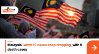 Covid-19 Cases