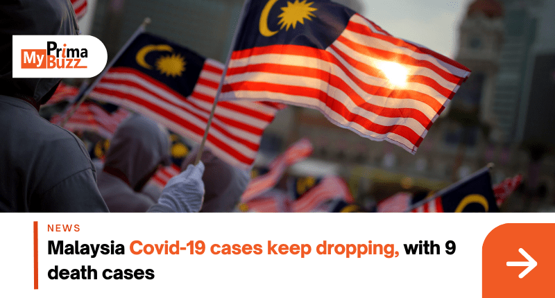 Covid-19 Cases
