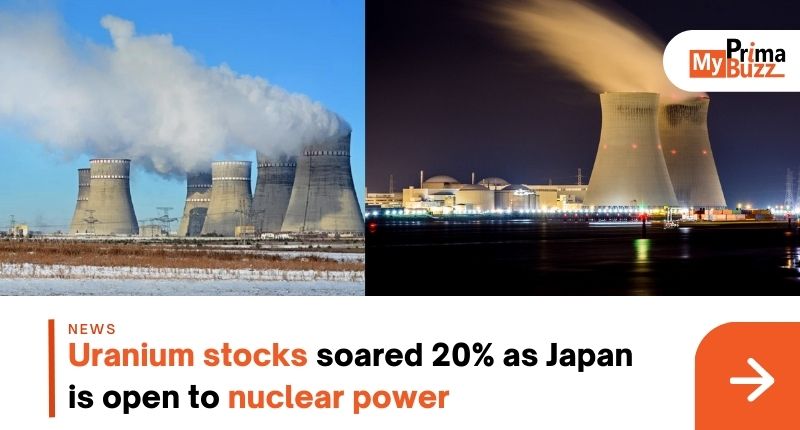 Uranium Stocks