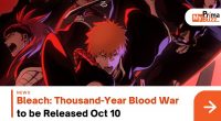 Bleach: A Thousand Years Of Blood