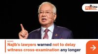 Najib