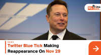 Twitter Blue Tick