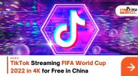 Fifa World Cup 2022