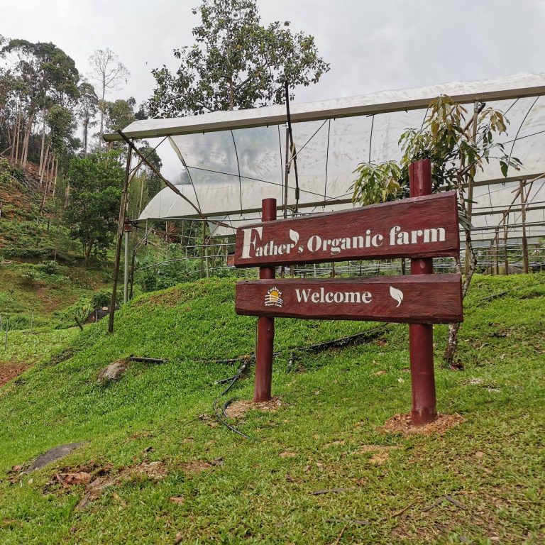 %Title&Amp; Fathers Organic Farm