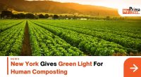 Human Composting
