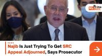 Najib