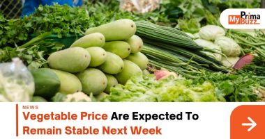 Vegetable Price