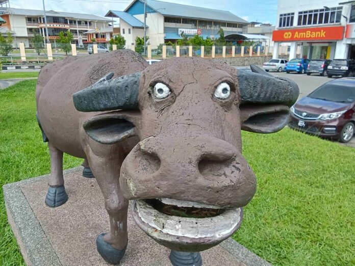 Serian Buffalo